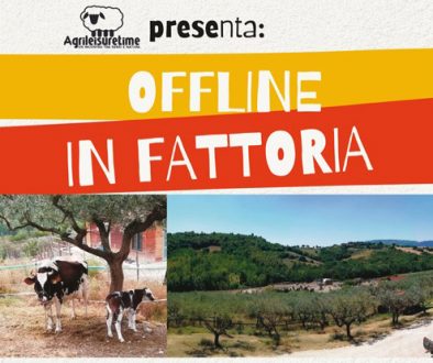 Offline In Fattoria